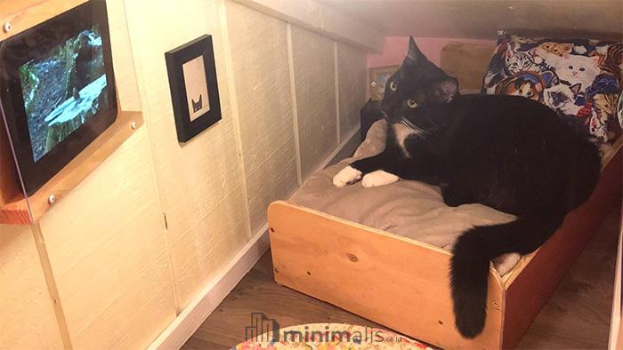 Kamar Kucing Minimalis