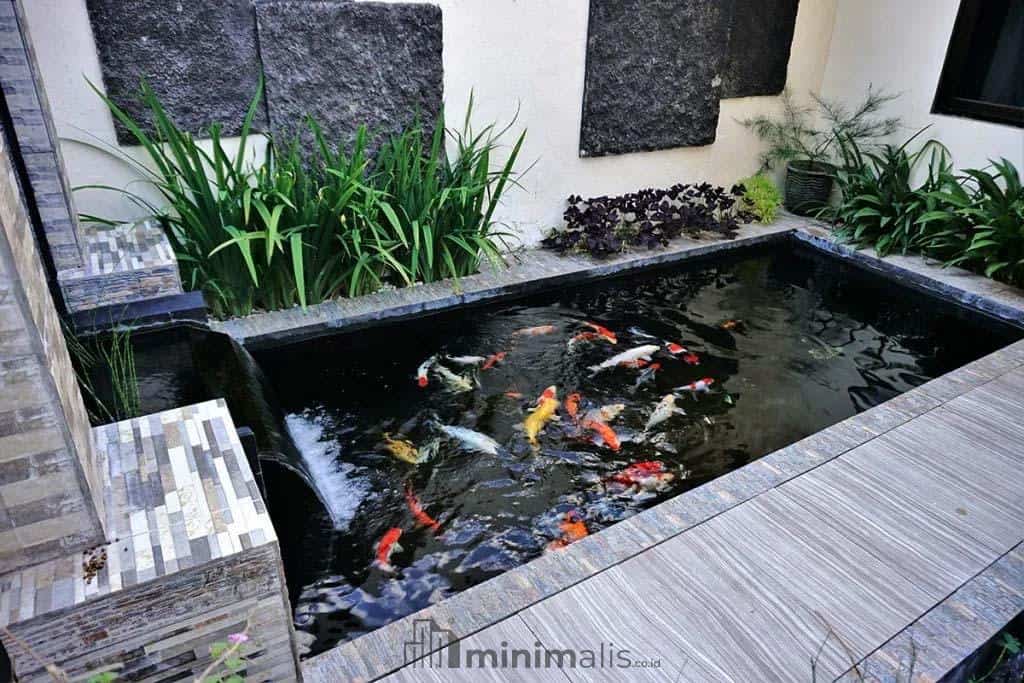Jenis Tanaman Kolam Ikan Minimalis yang Boleh Kamu Pilih
