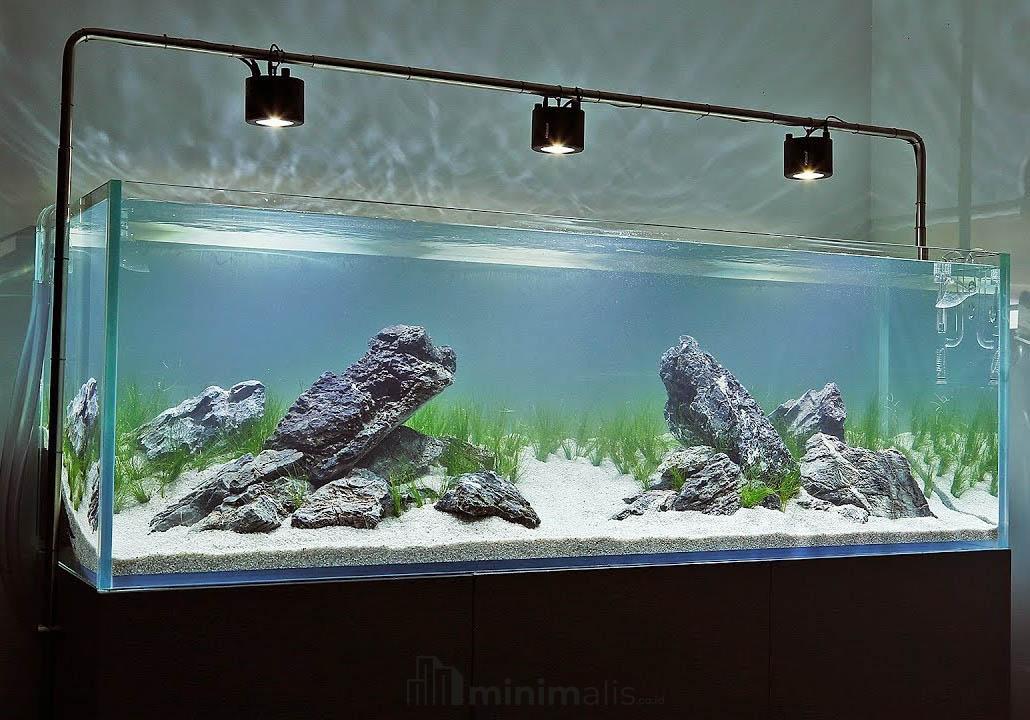 aquarium minimalis