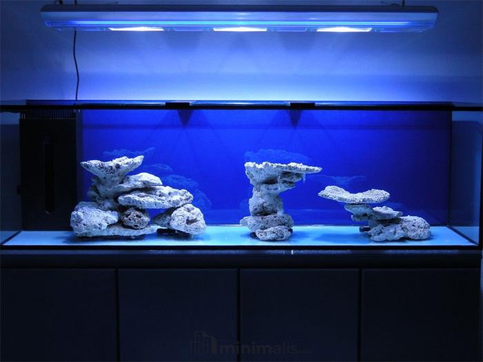 aquascape minimalis