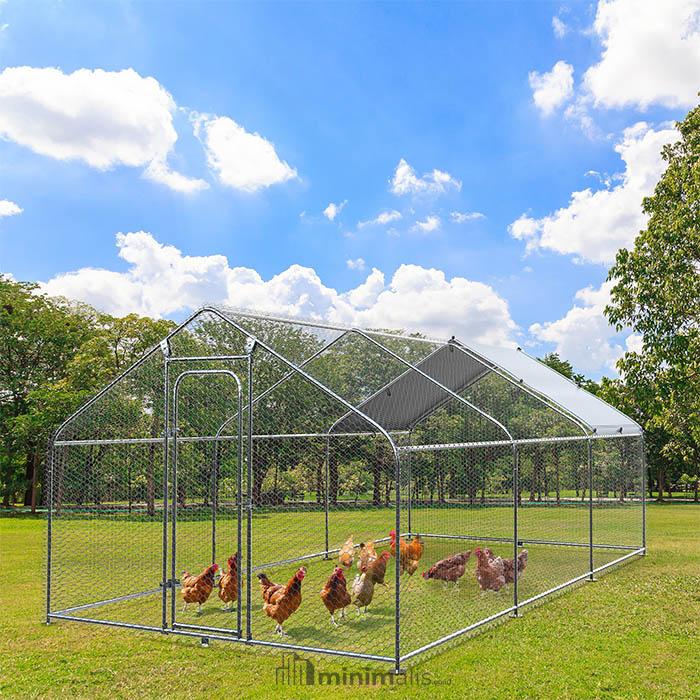 43+ Kandang Ayam Umbaran Minimalis – Ide-Ide Kreatif Untuk Hewan Ternak