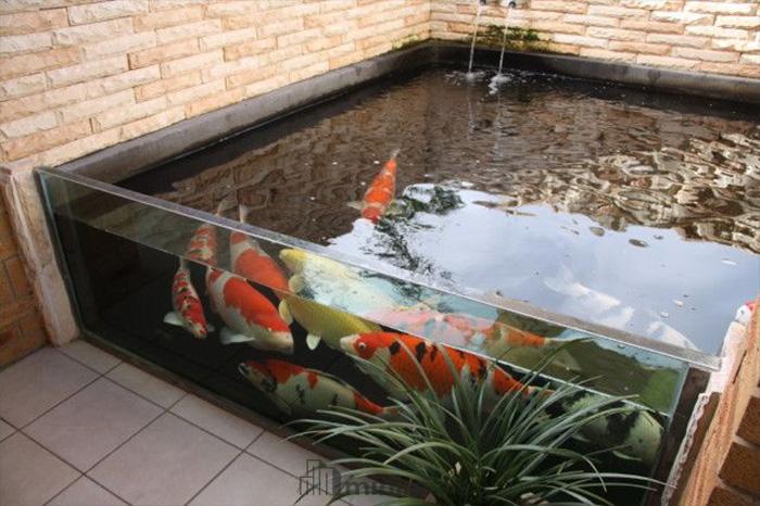 kolam ikan depan rumah kaca